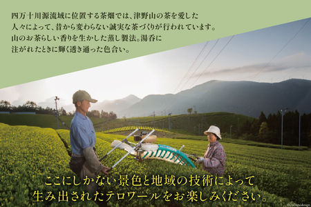四万十川源流域で育まれたお茶×2種 リーフ型茶さじ付き ( 煎茶 50g ほうじ茶 30g チーフ型茶さじ 1個)
