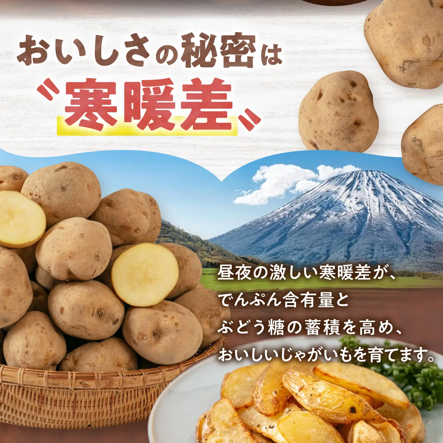  【先行予約】じゃがいも 食べ比べセット 20kg じゃがいも AJAK014