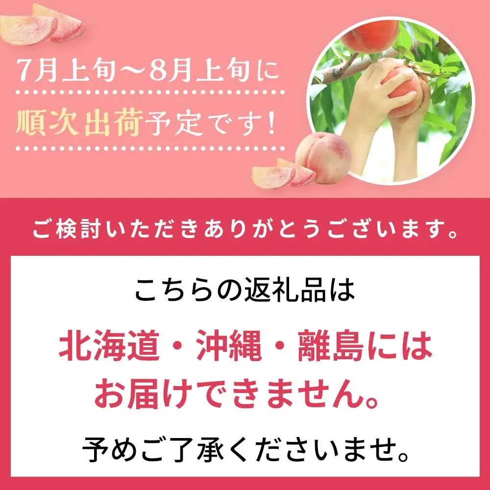 桃 2027年 清水 白桃 6～8玉入 約2.0kg 岡山市一宮地区産 もも モモ フルーツ 果物 ギフト