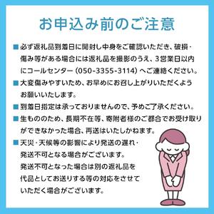 ぶどう 2026年 種なし完熟 ニューピオーネ 約2kg（4～6房）岡山市産 渡邊農園