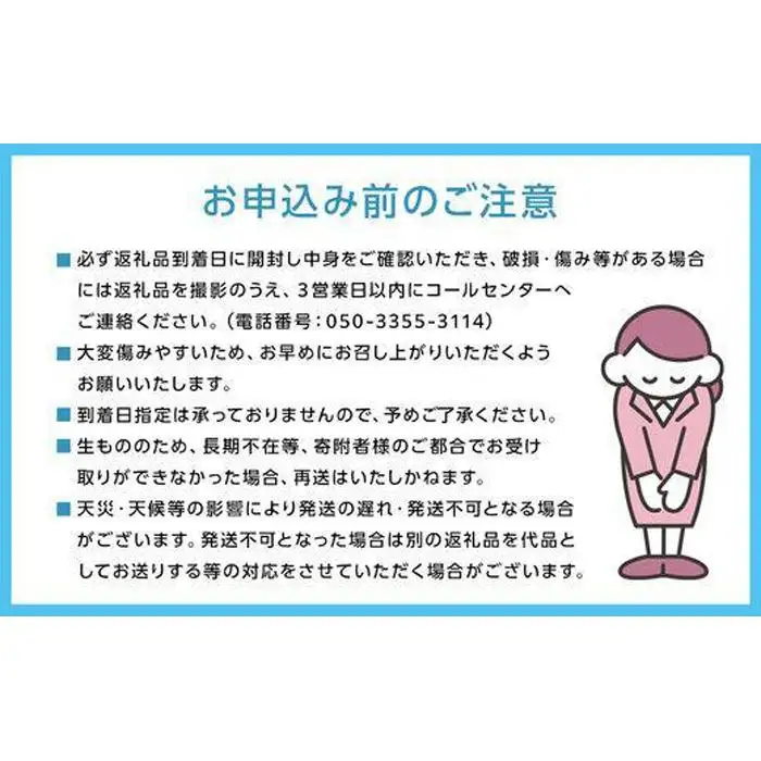 定期便3回 ぶどう 2027年 晴れの国 岡山の シャイン マスカット 晴王 ×3回！(各1房) 葡萄 岡山県産 国産 フルーツ 果物 ギフト