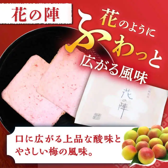 【6回定期便】夢本陣 40枚（2種×20枚） /恵比須堂 [UBQ019] 煎餅 せんべい