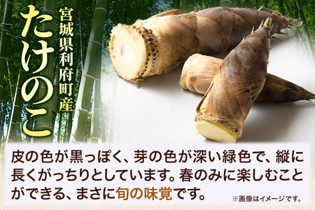 タケノコ 【2027年発送 先行受付】 宮城県 利府町産 採れたて たけのこ 皮付き2kg以上（2～6本）筍 野菜 国産 新鮮 旬