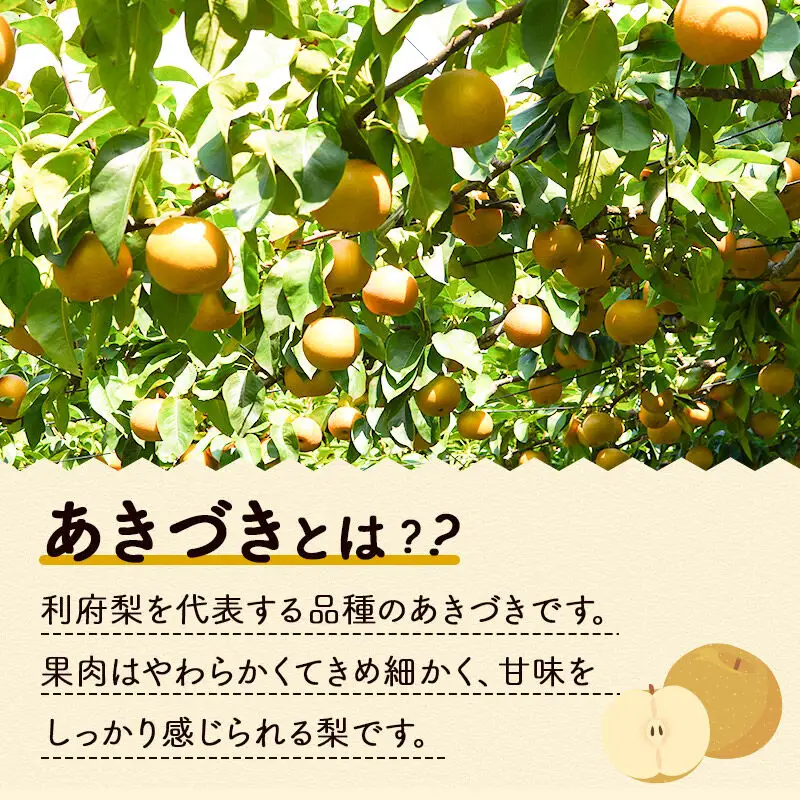 あきづき5kg（10玉前後）利府梨