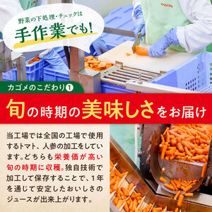【定期便3ヵ月】 カゴメ　野菜生活100　オリジナル　190g缶×30本 1ケース 毎月届く 3ヵ月 3回コース【 栃木県 那須塩原市 】ns001-014
