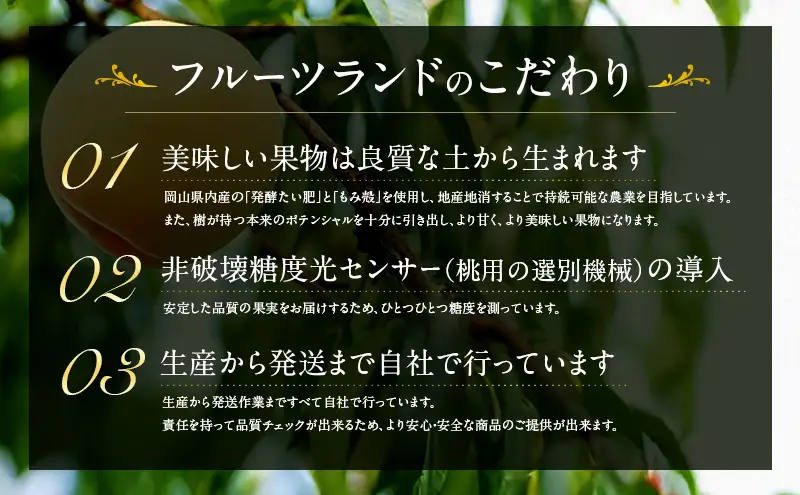 桃 2027年 先行予約 清水白桃 5玉 合計約1.3kg もも モモ 岡山県産 国産 フルーツ 果物 ギフト
