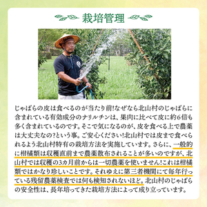 【期間限定】じゃばら果実 3キロ＋約300g (傷み保証分) 【予約受付/11月下旬より順次発送】【njb182A】