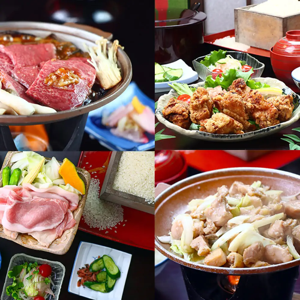 下呂温泉 【菊半旅館】宿泊補助券（3,000円分）【a024-1】