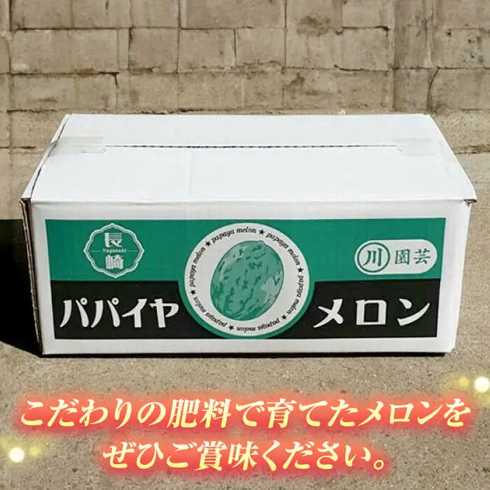 【2027年4月中旬-発送】パパイヤメロン 約5kg（約5~7玉）/ メロン めろん パパイヤメロン 果物 フルーツ / 南島原市 / 長崎県農産品流通合同会社 [SCB086]