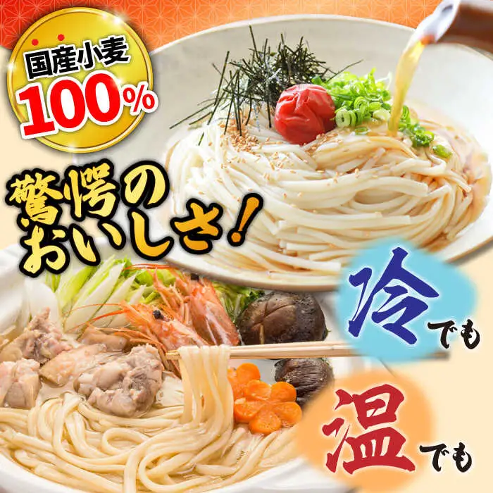 島原 手延べうどん 山道うどん 国産小麦100％ 160g×30袋 4.8kg / 島原手延べ うどん ウドン 饂飩 乾麺 麺 / 南島原市/ そうめんの山道 [SDC011]