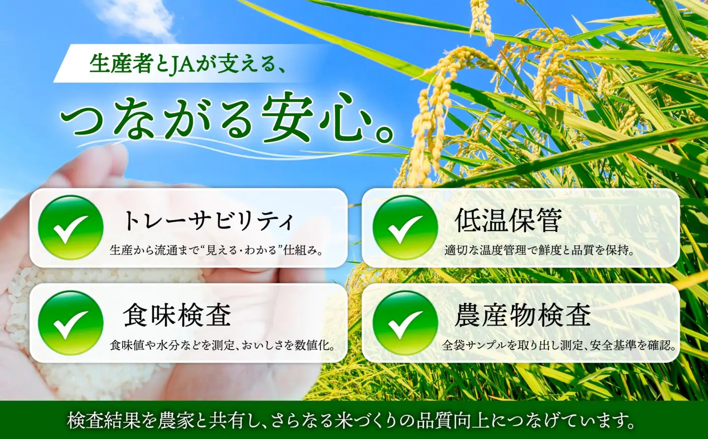 【令和8年産】秋田県大館産あきたこまち10kg(5kg×2)　新米【JAあきた北精米センター】