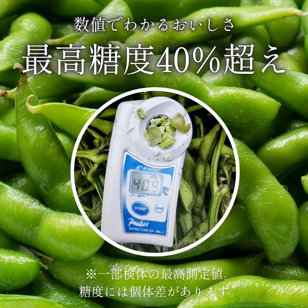 【令和8年10月中旬頃から発送】有機黒枝豆 丹波篠山産（200g×10袋 2kg）枝豆