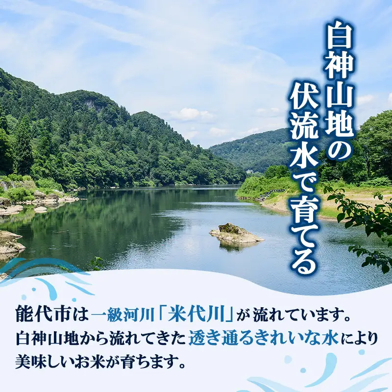 あきたこまち 無洗米 10kg 令和7年産 孫兵衛のあきたこまち