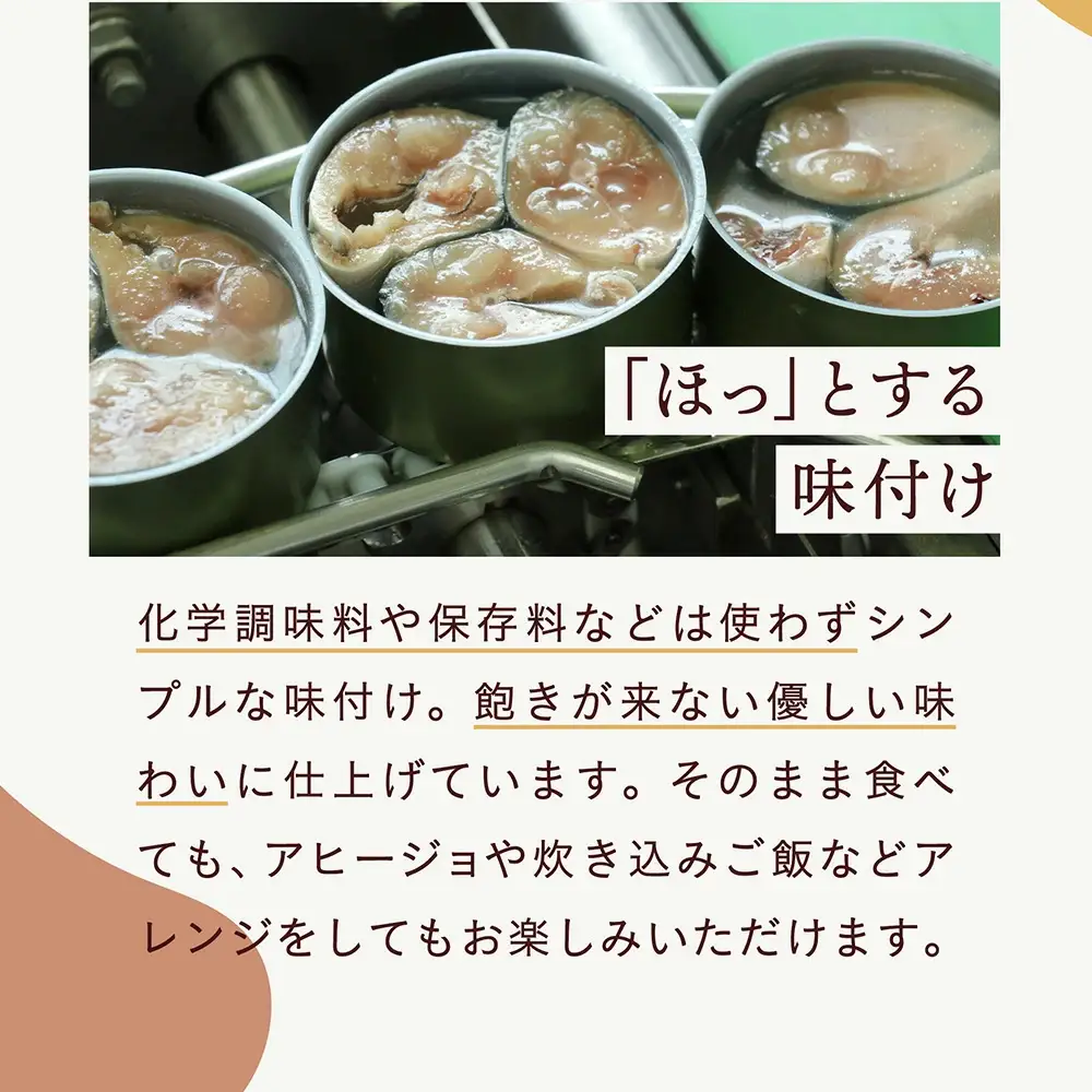 【 無添加 】 缶詰 いわし水煮 180g×12個 無着色 長期保存 非常食 缶詰