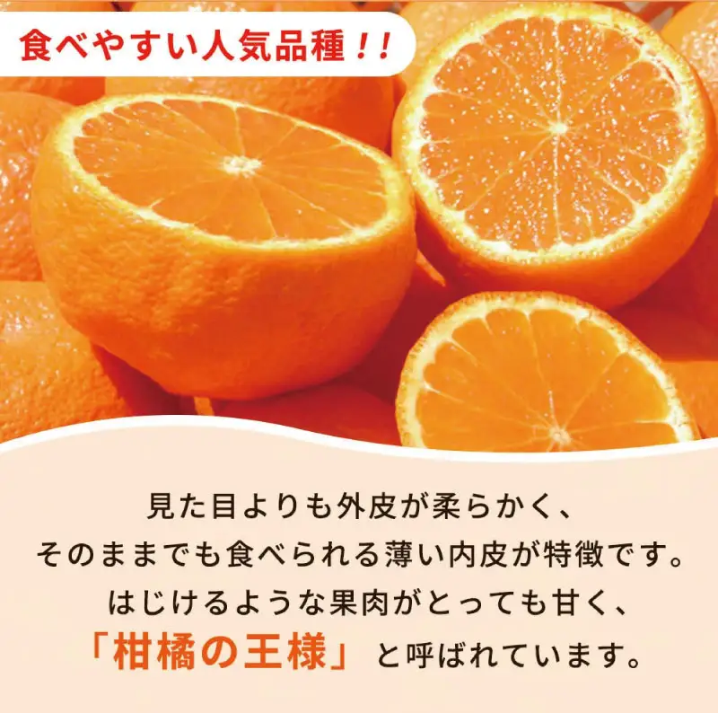 【先行予約】紀州有田産不知火(しらぬひ) 2.5kg ※2027年2月中旬頃〜3月中旬頃に順次発送予定（お届け日指定不可）/ みかん 不知火 和歌山 フルーツ 有田【uot794】