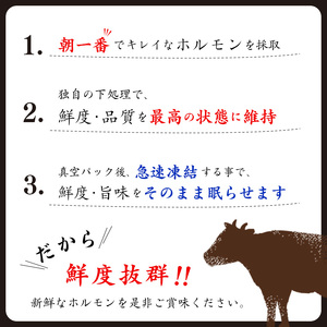 【30営業日以内配送】《 お試しにちょうどいい》焼肉店でも人気の国産牛ホルモンMIXが100g×3パック！　006-D-YL001