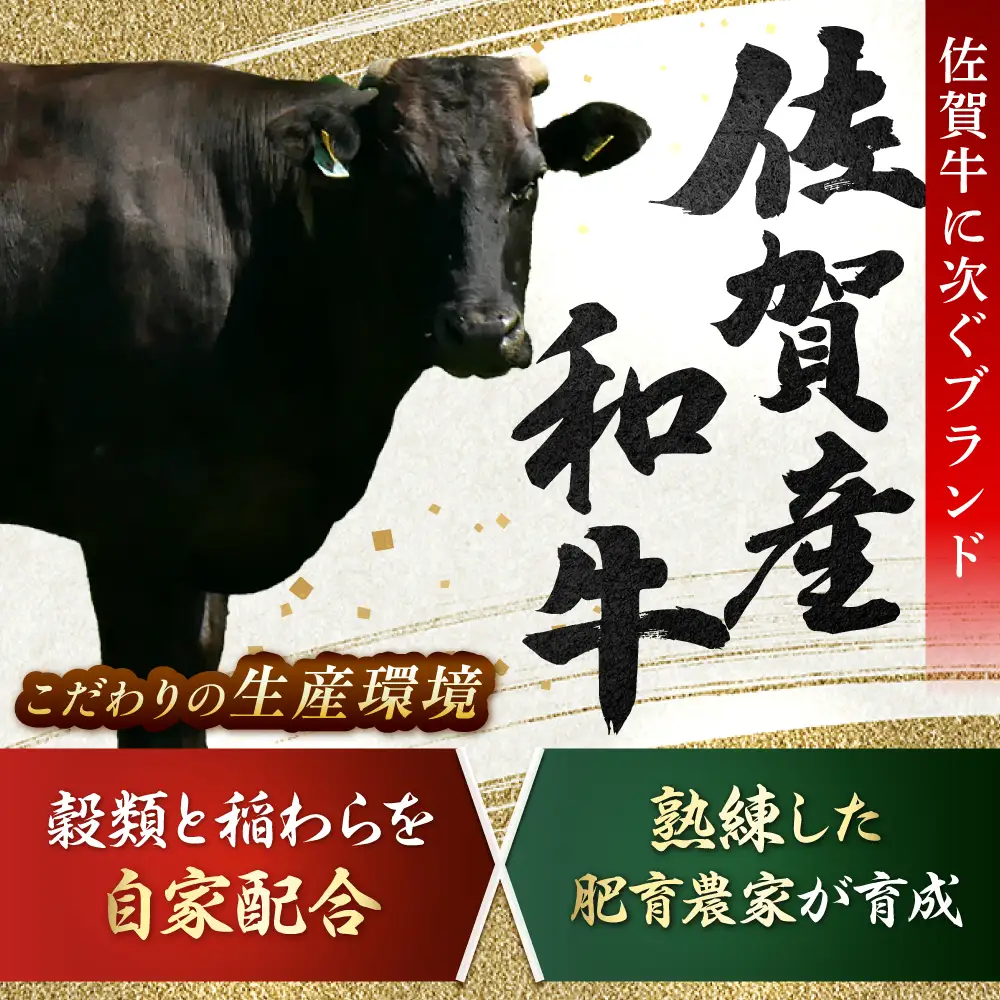 佐賀産和牛 肩ロース しゃぶしゃぶ・すき焼き用 1.2kg（600g×2P）[FDB061]
