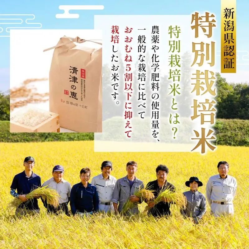 コシヒカリ 令和7年産 特別栽培米 清津の恵 2kg コシヒカリ