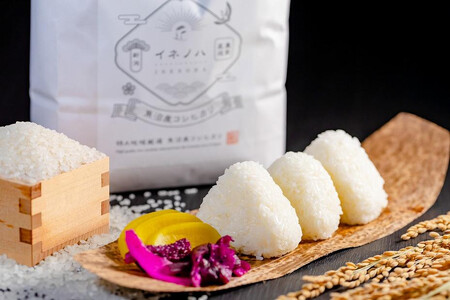 ＜定期便・全12回＞【令和7年産】魚沼産コシヒカリ「イネノハ 」精米(3kg×4)×12回 お米 白米 ご飯 産地直送 ミネラル 栄養分 こだわり 人気 新鮮 