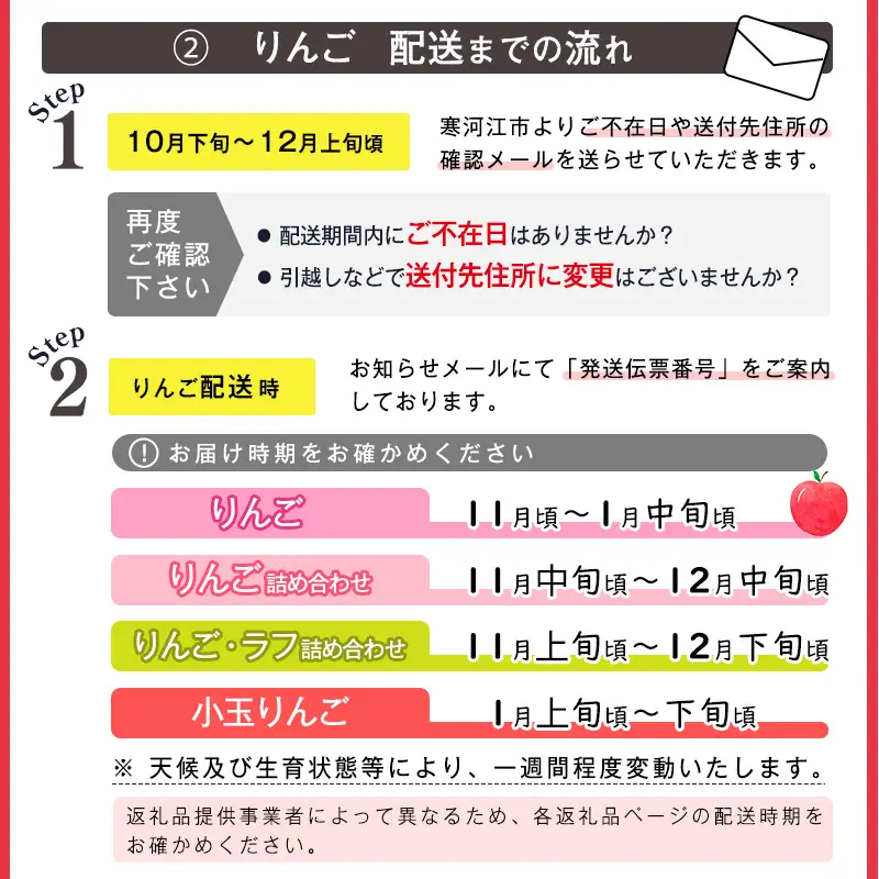 令和8年産 訳あり りんご 5kg  「ふじりんご」生産者直送 2026年産 山形県産 【2026年11月下旬頃から12月下旬頃発送予定】　011-B-NG009