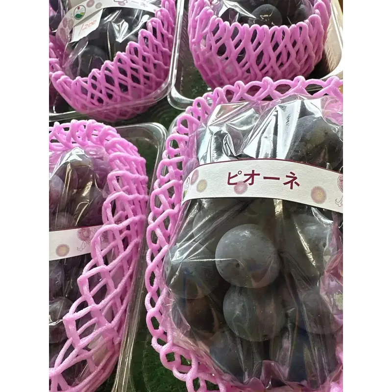 【先行予約】樹上完熟種無しピオーネ1.2kg（2～3房）（2026年9月上旬～発送） ふるさと納税 ぶどう ブドウ 葡萄 ふるさと納税 先行予約 ふるさと納税 フルーツ くだもの 果物