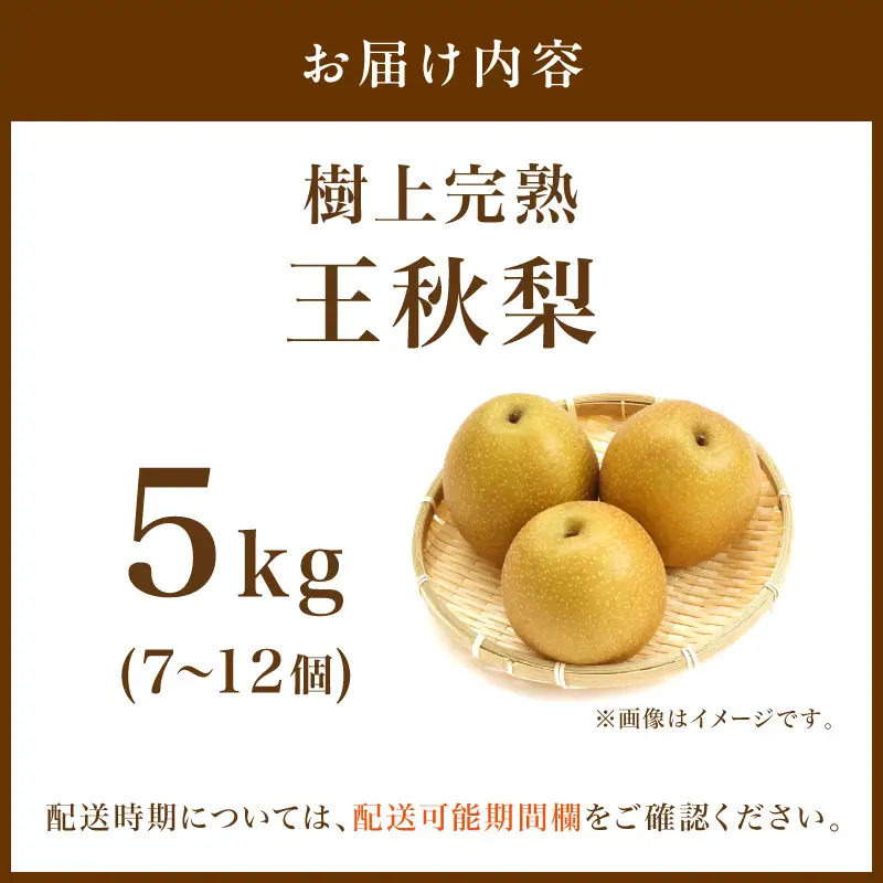 【先行予約】樹上完熟 王秋梨 5kg（7～12個）（2026年12月上旬～発送） 果物 梨 和梨 王秋 国産 5kg 先行予約 期間限定 ふるさと納税 フルーツ ふるさと納税 なし ふるさと納税 梨 農家直送 果樹園直送 生産者応援 農家応援 送料無料