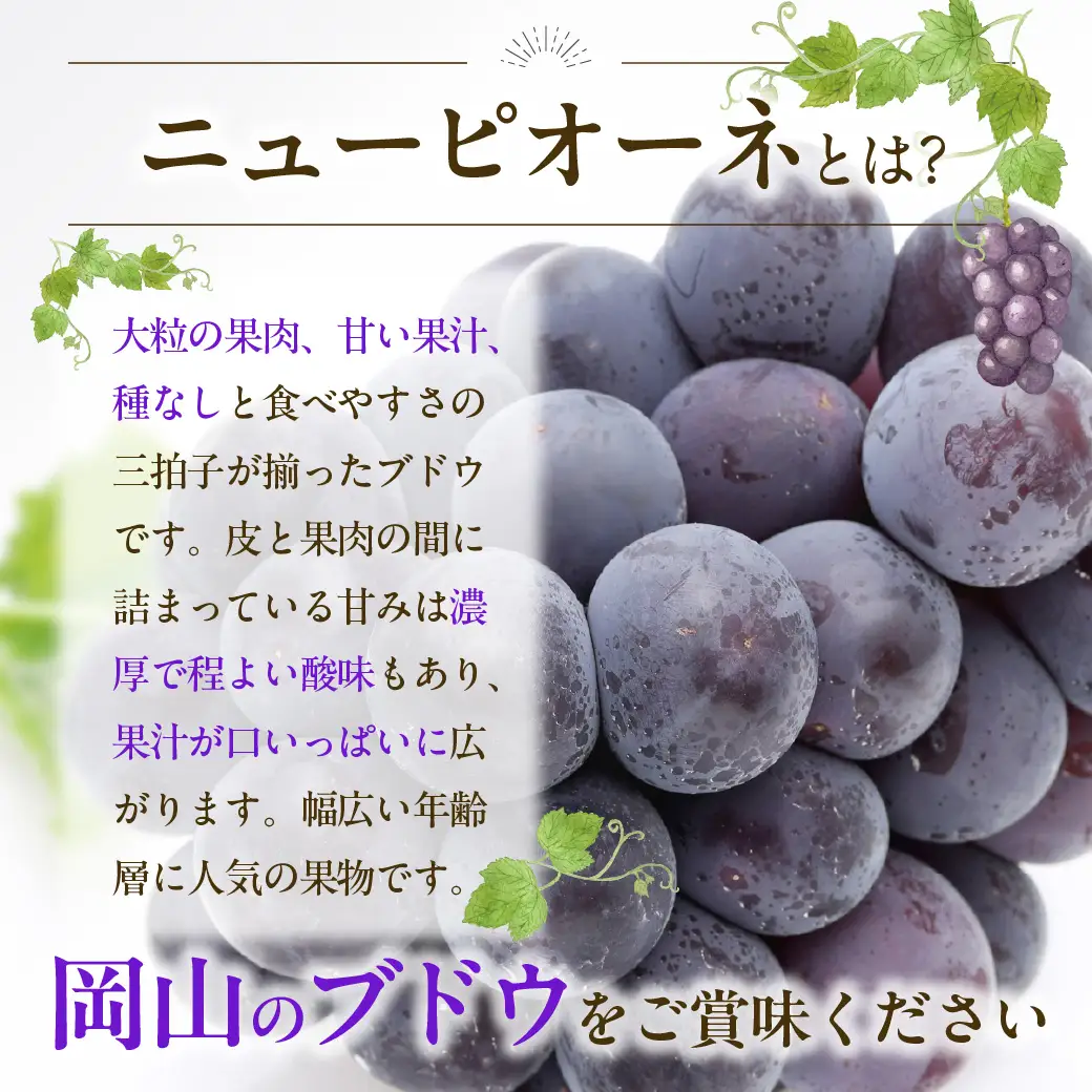 【2027年発送分・先行予約開始！】岡山県産 白桃とニューピオーネのセット（令和9年7月以降発送）【ニューピオーネ 桃】