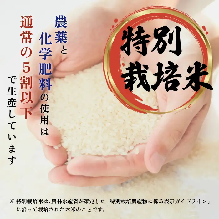 令和7年産 特別栽培米 ゆめぴりか 10kg【ナナプラザ】米 お米 北海道産 北海道米 特Aランク 国産 白米 コメ 北海道 比布町 ぴっぷ 1021-002