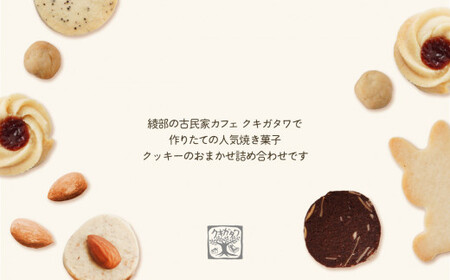 クッキーお楽しみBOX 【クッキー 卵・乳製品不使用 】