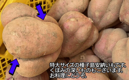 数量限定 中園ファーム 種子島 安納いも 規格外 特大サイズ　9kg　NFN476【350pt】