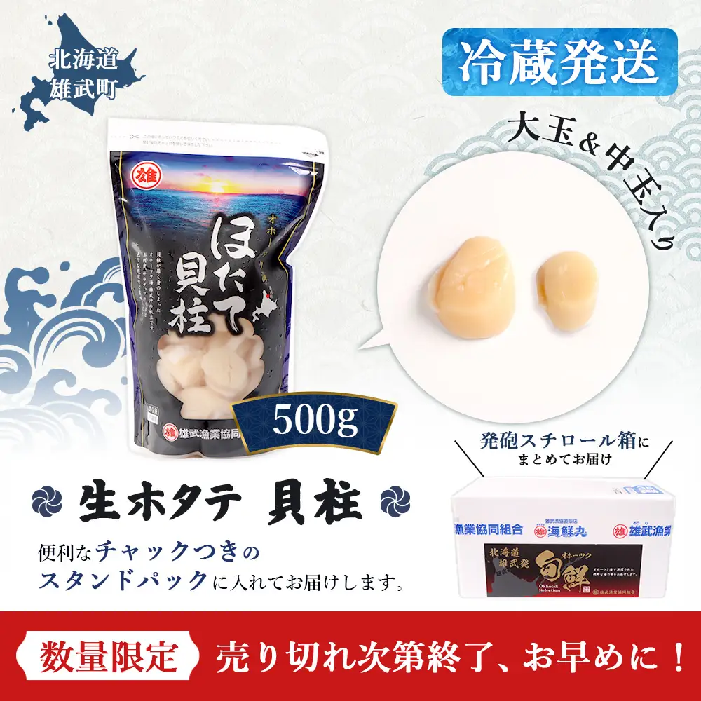 【関東限定！生ほたて】《期間限定》北海道雄武産 生玉ほたて500g塩水パック（冷蔵）【0712503】