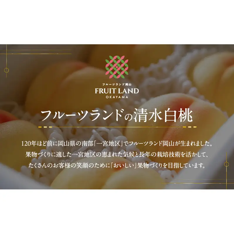 桃 2026年 先行予約 清水白桃 5玉 合計約1.3kg もも モモ 岡山県産 国産 フルーツ 果物 ギフト
