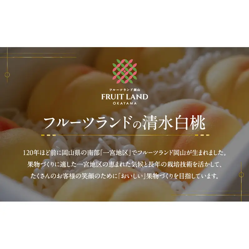 桃 2026年 先行予約 清水白桃 8玉 合計約2.0kg もも モモ 岡山県産 国産 フルーツ 果物 ギフト