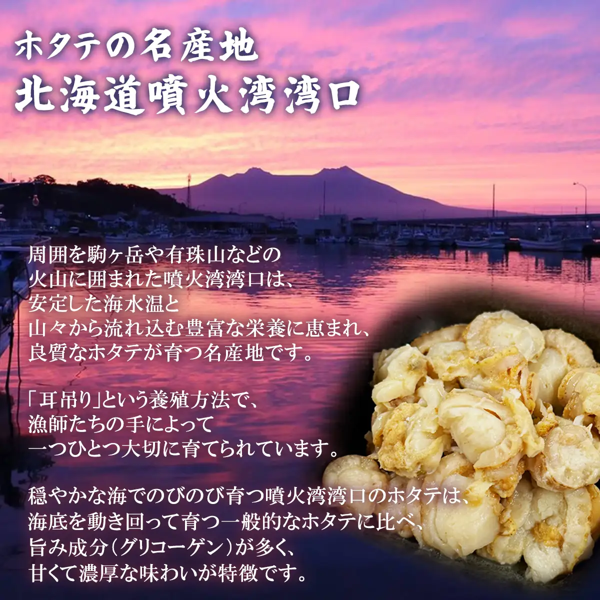訳あり 北海道産 ベビーボイルホタテ 3kg （1kg×3袋） 不揃い 加熱用 冷凍 ホタテ 帆立