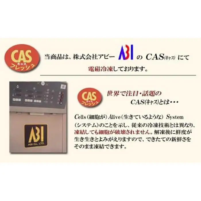箱根 鯛ごはん懐石瓔珞（ようらく）　鯛ごはん3パック入り［レトルトレトルト］