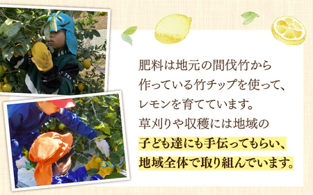 【先行予約】日本海で育ったうちうらレモン「リスボン2.5kg」皮まで丸ごと食べられます！【2026年12月下旬より順次発送】