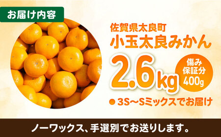 【2026年10月下旬以降発送】小玉太良みかん！計3kg（2.6kg＋傷み保証分400g） / みかん / 佐賀県 [41ATBT008]