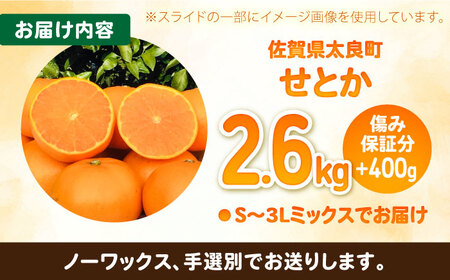 【2027年2月中旬以降発送】【訳あり】せとか 計3kg（2.6kg＋400g傷み保証分） S-3Lサイズ / みかん 太良町 せとか / 佐賀県 [41ATBT010]