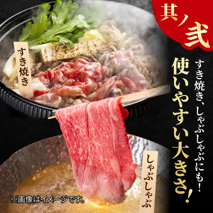 【全3回定期便】佐賀牛 赤身とバラ肉の切り落とし 250g×2 黒毛和牛切り落とし 切り落とし[FCY014]