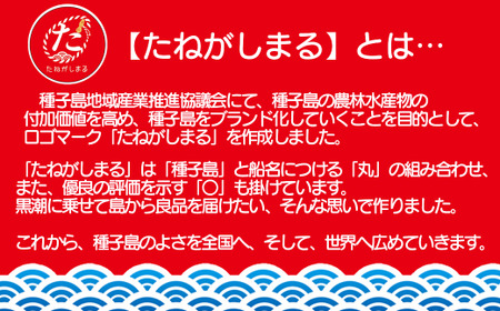 【たねがしまる4000】 種子島 松寿園 南の島 茶 2種類 Ｃセット 生姜紅茶 緑茶 　NFN915【100pt】  