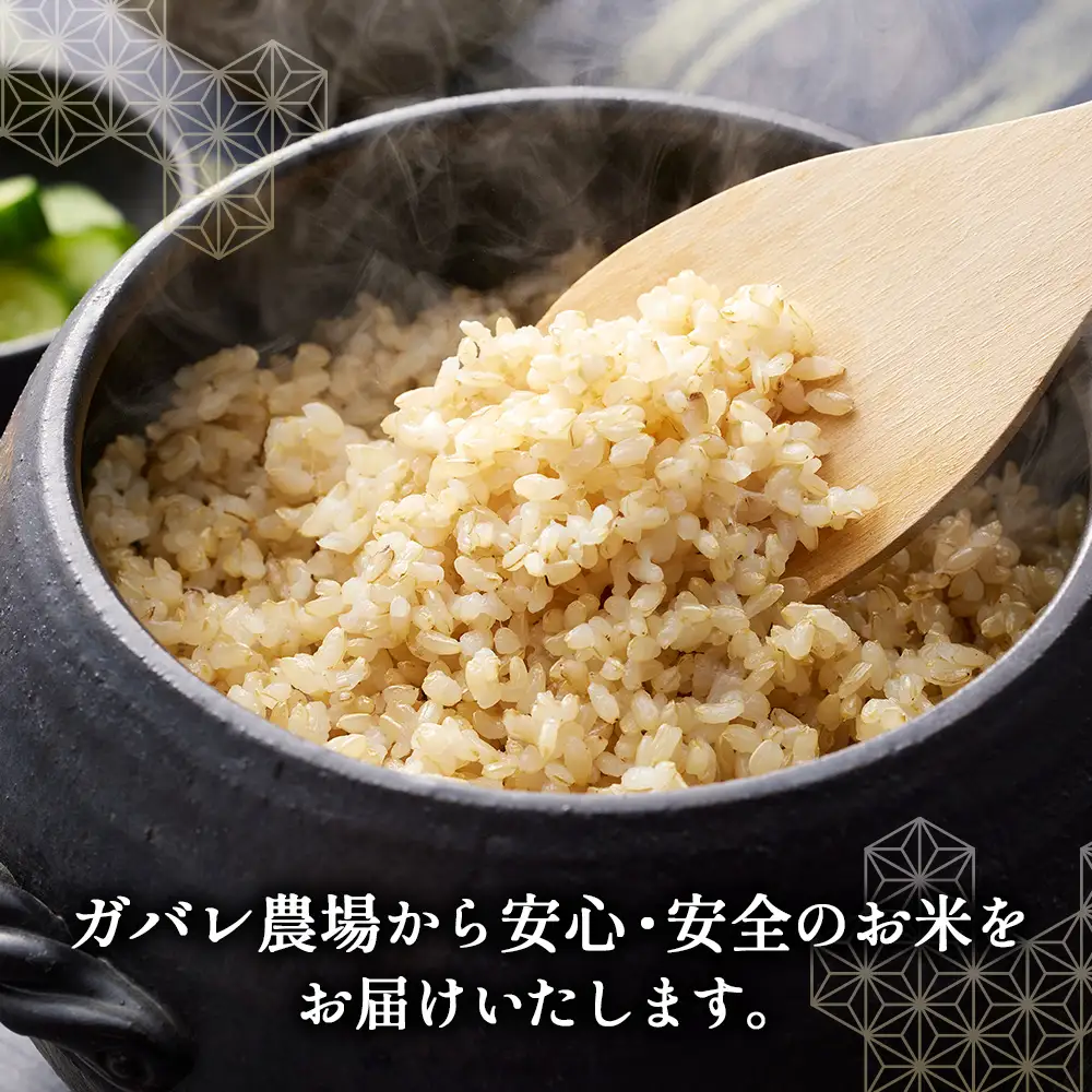 【アイガモ農法のお米】ガバレ農場「彩のきずな」5kg　玄米　精米歩合指定OK No.096