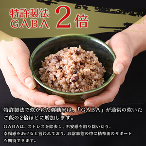 八ヶ岳弥勒(みろく)米（自然栽培・玄米ごはん・無菌パック・無添加）200g×24個 [h291]