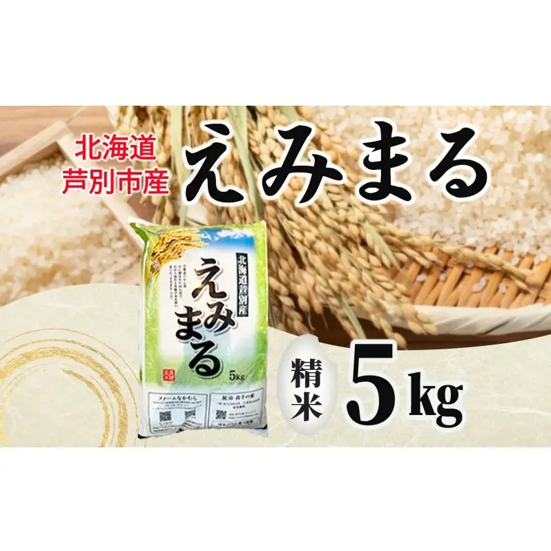 米 白米 精米 令和8年産 5kg 北海道米 北海道産 米