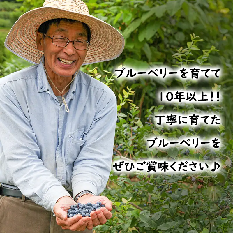 【先行予約】生 ブルーベリー 計1.6kg(400g×4パック) 池田農園
