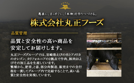 牛肉 おつまみ えびの高原 ビーフジャーキー セット 30g × 5パック 合計 150g  肉 人気 おすすめ お酒のお供 常温 珍味 甘くない おやつ 加工品 ギフト 贈り物 国産 九州 宮崎県 えびの市 送料無料