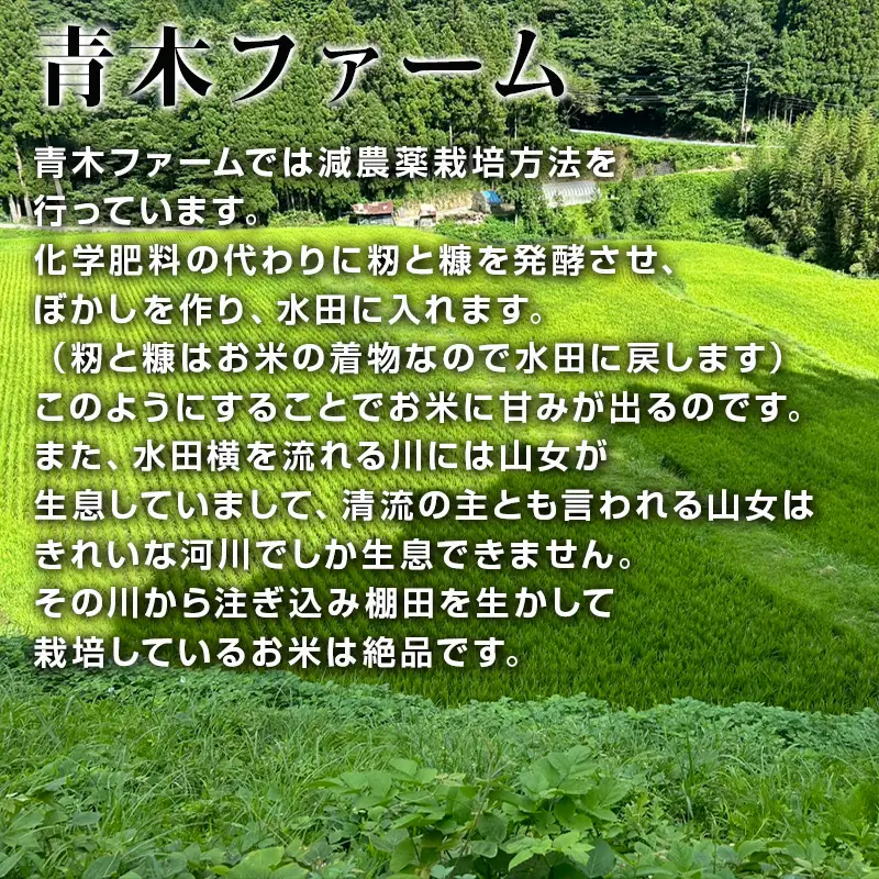 唐津産 七山 棚田米 コシヒカリ 玄米 2合(300g)×5袋セット