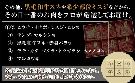 国産牛赤身焼肉6種セット 約540g 