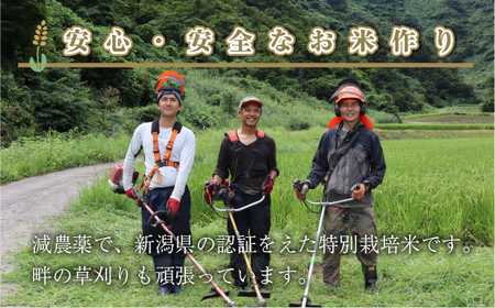 【令和8年産 先行予約】【定期便／全12回】玄米2kg 新潟県魚沼産コシヒカリ「山清水米」