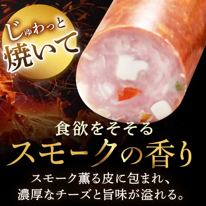 【12回定期便】リオナソーセージ 200g×3本 /宮地ハム [UBM032] ソーセージ