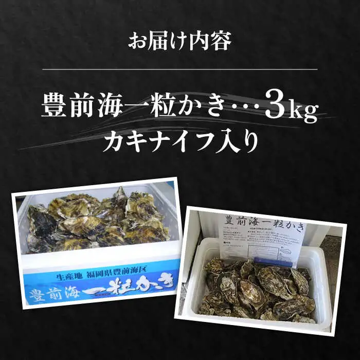 【先行予約】豊前海一粒牡蠣 3kg 牡蠣 VAG007